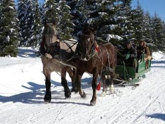 Holiday Home In Nahetal-waldau 3184