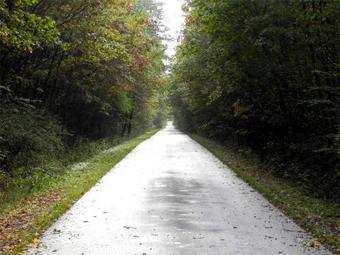 Apartamento Ferienwohnung Warthe Uck 595