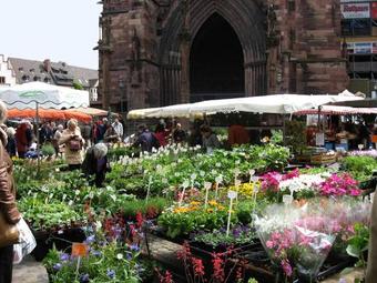 Hostal Die Sprachpension - The Language Guesthouse