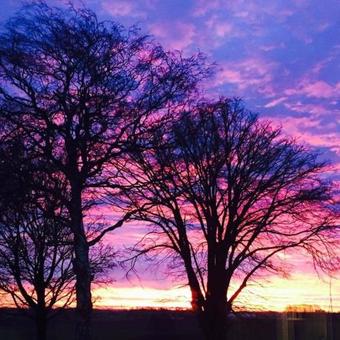 Idestrup Bed And Breakfast