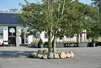 Lindvig Ferie- Og Kursuscenter - Danhostel Nymindegab