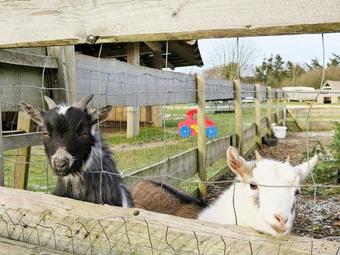 Two-bedroom Holiday Home In Struer 4