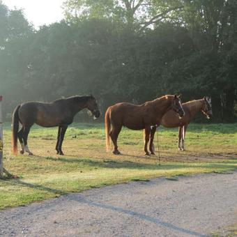 B&B Rosen�rn - Nyborg