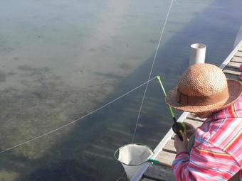 Gl. �lbo Camping & Cottages