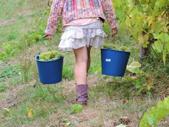 Agroturismo Casa Rural Chao De Castro