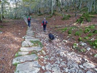 Bed & Breakfast Casa Rural Eikolara Landetxea