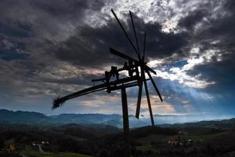 Ferienhaus Vogeljager