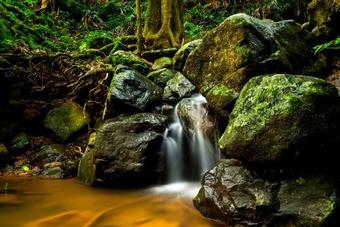 Apartamento Lombok Studio Bellingen