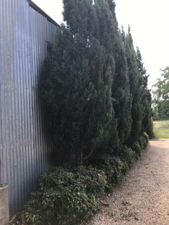 Walnut Tree Cottages