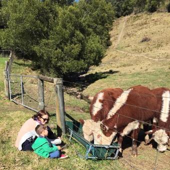 Bed & Breakfast Heggy's Cottage