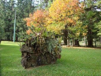 Hotel Ref�gio Monte Olimpo