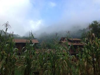 Bed & Breakfast Quinta Da Gavea - Hospedaria E Quintal Criativo