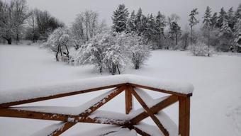 Forest Romantic Apartment Brdy