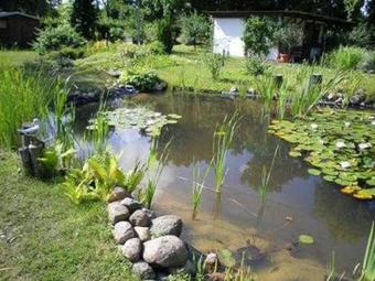 Apartamento Ferienwohnung Unter Den Linden