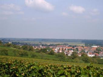 Apartamento G�stehaus Guntersblum