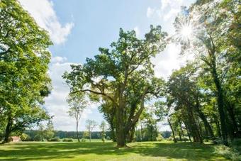 Schloss Retzow Apartments