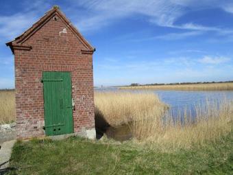 Apartamento Ferienwohnung P�ttsee - [#79862]