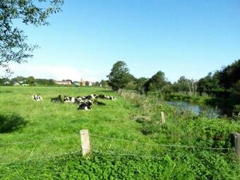 Apartamento Ferienwohnung-otzens-kleine-dachkammer