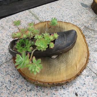 Agroturismo La Casona De Belmonte