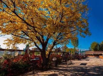 Hotel The Wind Mills Hydropark