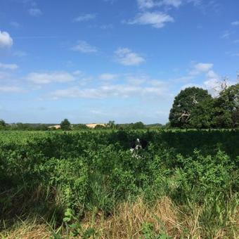 Bed & Breakfast Domaine De Puytirel