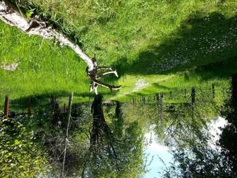 James Tymon Self-catering Cottage