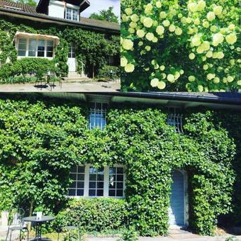 Hostal Chateau Des Ayes - Chambres & Suites