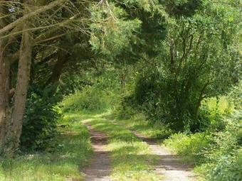 Holiday Home In Saint-laurent-des-mortiers With Garden