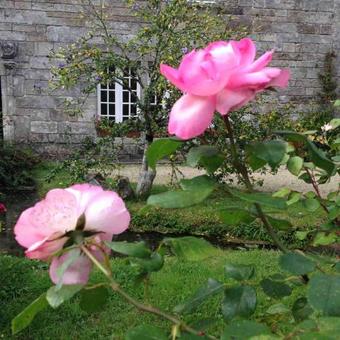 Hotel Les Empreintes