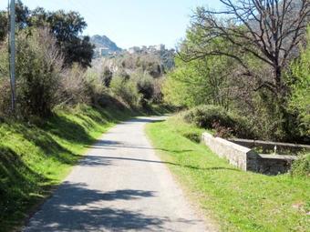 Apartment Appartement Jean (ctn310)