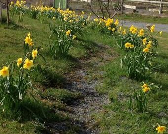 Ballyroney Cottage B&B