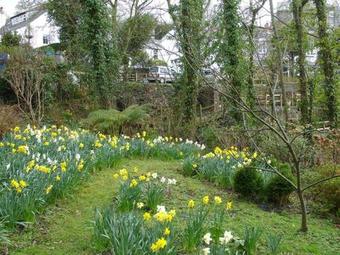 Ingledene, Boscastle