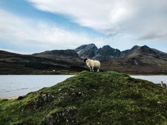 Hostal Corry Lodge - Skye