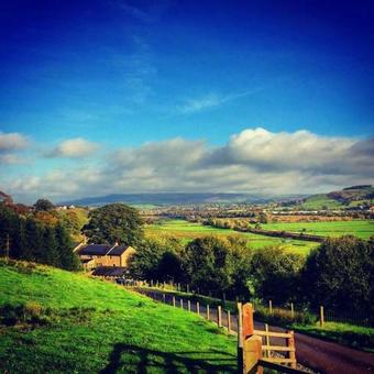 Bed & Breakfast Throstle Nest Farm