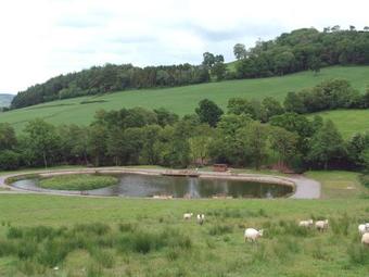 Lower Wadden Farmhouse And Annexe, Colyton