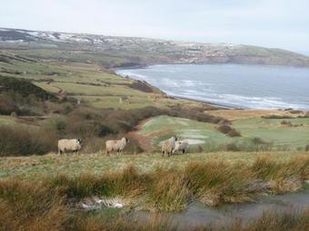 Roseberry House, Guisborough