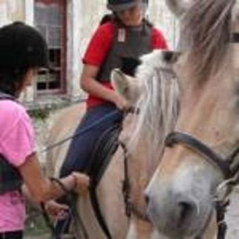 Stf Hostel Ihre G�rd