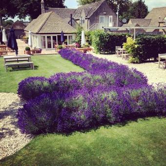 Posada The Ragged Cot