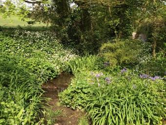 Holiday Home Wet Lane
