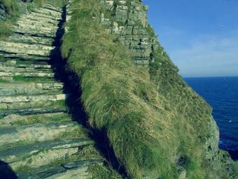 The Overscaig House Hotel