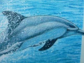 Apartamento Ash Cottage