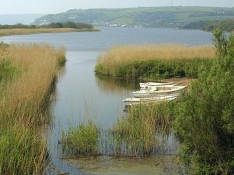 Coach House Cottage, Strete
