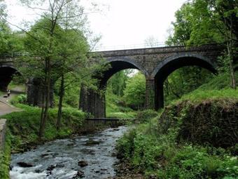 Bumblebee, High Peak