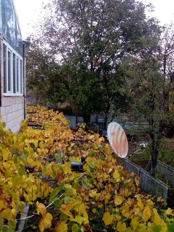 Hostal Guest House Nike