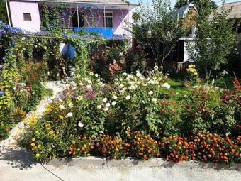 Bed & Breakfast Guest House Tsiskari