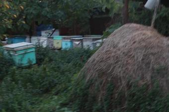 Hostal Alaverdi Guest House