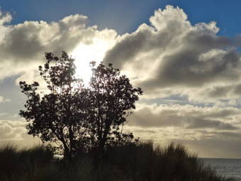 Villa The Gallery Accommodation Mccrae