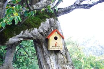 Aparthotel In Bakuriani "the Valley"