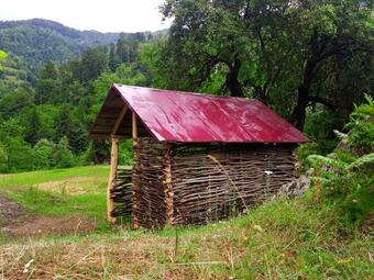 Hostal Guest House "oasis"