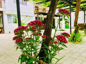 Hotel Smith"s House Surami